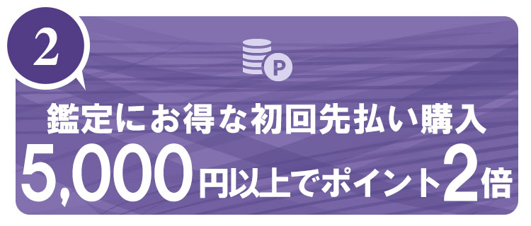 電話占いヴェルニ　初回払いで「もらえるポイント